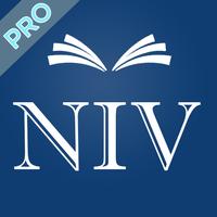 NIV Study Bible Pro poster