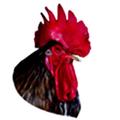Kenya Poultry Consultancy Platform (KPCP)