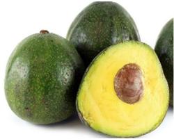 KALRO Avocado Seedling 海報