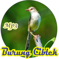 Suara Masteran burung Ciblek G