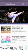 Shotokan Karate Katas Poster