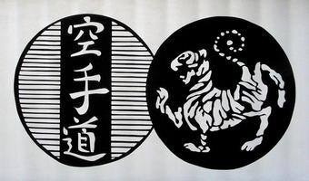 Shotokan Karate Katas Ekran Görüntüsü 2