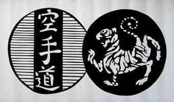 Shotokan Karate Katas captura de pantalla 2