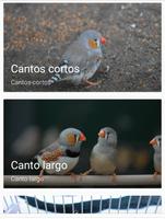 Canto Diamante Mandarin screenshot 1