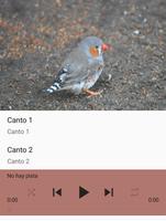 Canto Diamante Mandarin screenshot 2