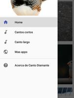Canto Diamante Mandarin screenshot 3