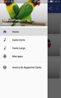Agapornis Canto 截图 3