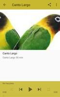 Agapornis Canto 截图 2