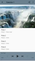 Reiki Musica Relajante imagem de tela 2