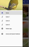 Canary Verderon HD screenshot 3