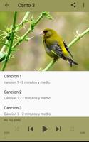 Canary Verderon HD poster