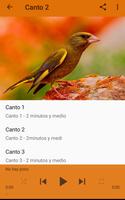 Canary Verderon HD screenshot 1