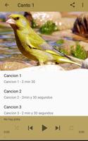 Canary Verderon HD screenshot 2