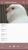برنامه‌نما Canario Malinois Canto عکس از صفحه