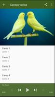 برنامه‌نما Canario Malinois Canto عکس از صفحه