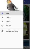 Ninfa Canto 截图 3
