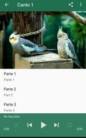 Ninfa Canto 截图 1