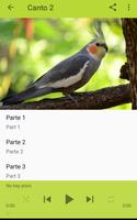 Ninfa Canto 截图 2