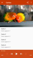 Agapornis Canto スクリーンショット 2
