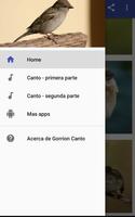 Gorrion Canto screenshot 3