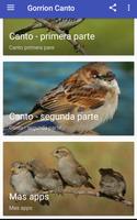 Gorrion Canto poster
