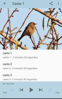 Canto Ruiseñor imagem de tela 3