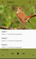 Canto Ruiseñor imagem de tela 1
