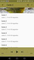 Canario Maestro скриншот 3