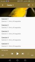 Canario Maestro скриншот 2