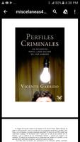 Perfiles Criminales-poster