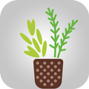 Plantas Medicinales y sus Beneficios APK