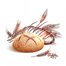 Recetas de Pan APK