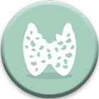 Endocrinology Basics ícone