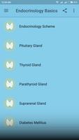 Endocrinology Basics Cartaz