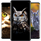 Owl Wallpaper icône