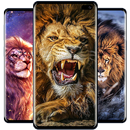 Lion Wallpaper APK