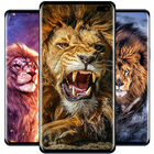 Lion Wallpaper icon