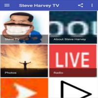 Steve Harvey Show poster