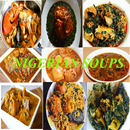 APK Nigerian Soups