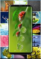 Waterdrop Wallpapers تصوير الشاشة 1