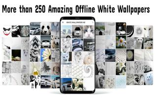 White Wallpapers HD Affiche