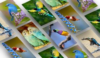 Bird Wallpapers HD скриншот 1