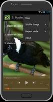 Masteran Kicau Burung captura de pantalla 3