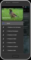 Masteran Kicau Burung Poster
