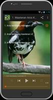 Masteran Kicau Burung captura de pantalla 2