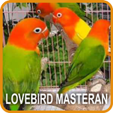 Lovebird Masteran simgesi