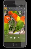 Lovebird Masteran تصوير الشاشة 2