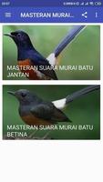 MASTERAN MURAI BATU MEDAN screenshot 1