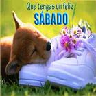 Feliz  Sábado icon