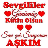 Sevgililer Gününüz Kutlu Olsun 2020 captura de pantalla 1